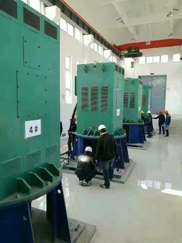 上安乡某污水处理厂使用我厂的立式高压电机安装现场